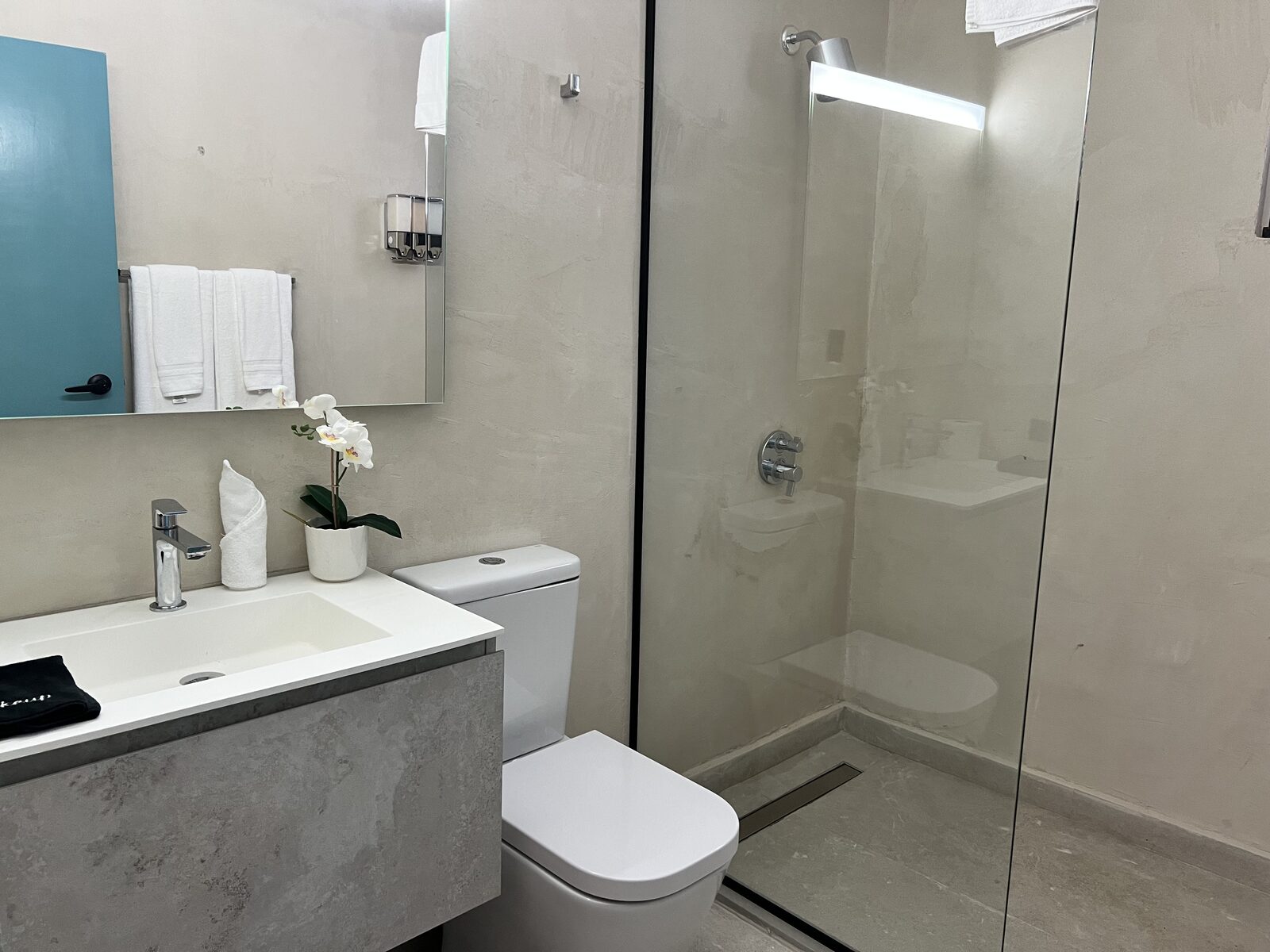 Garden Queen Room - bathroom